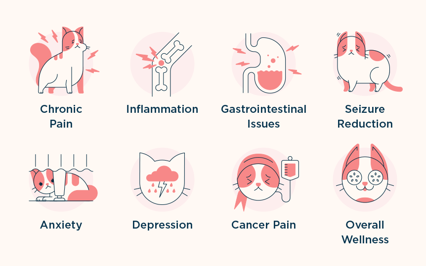 symptoms CBD oil can treat