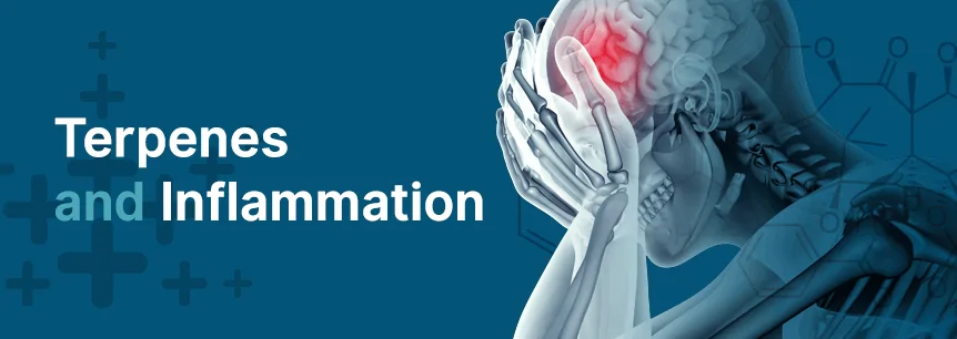 Terpenes and Inflammation