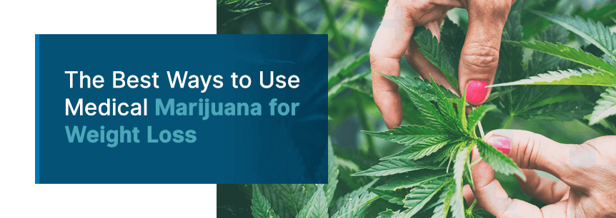 use marijuana to lose weight