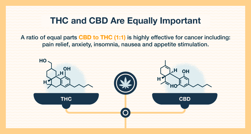 importance of CBD:THC ratio