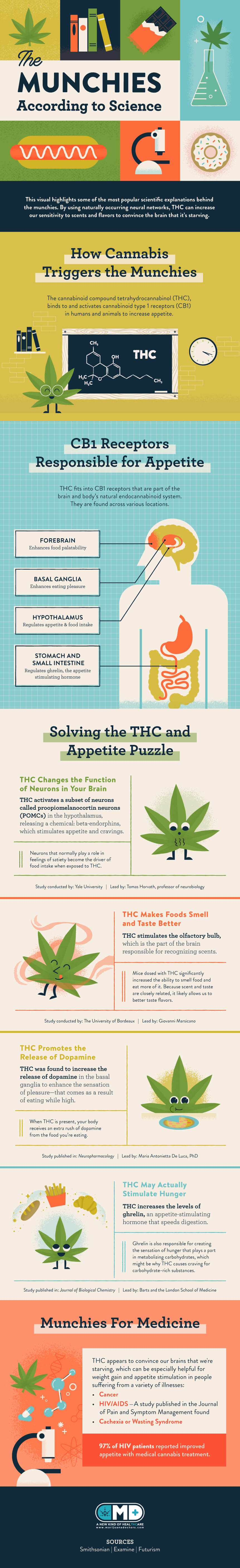 science behind the munchies