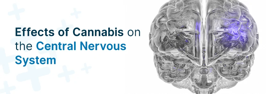 cannabis central nervous system
