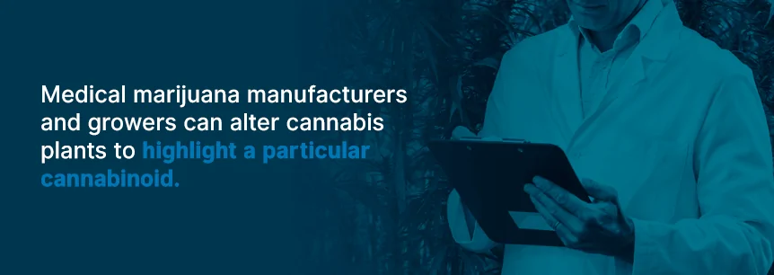 medical marijuana manufacturers