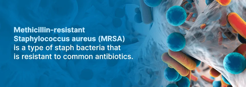 methicillin resistant staphylococcus aureus