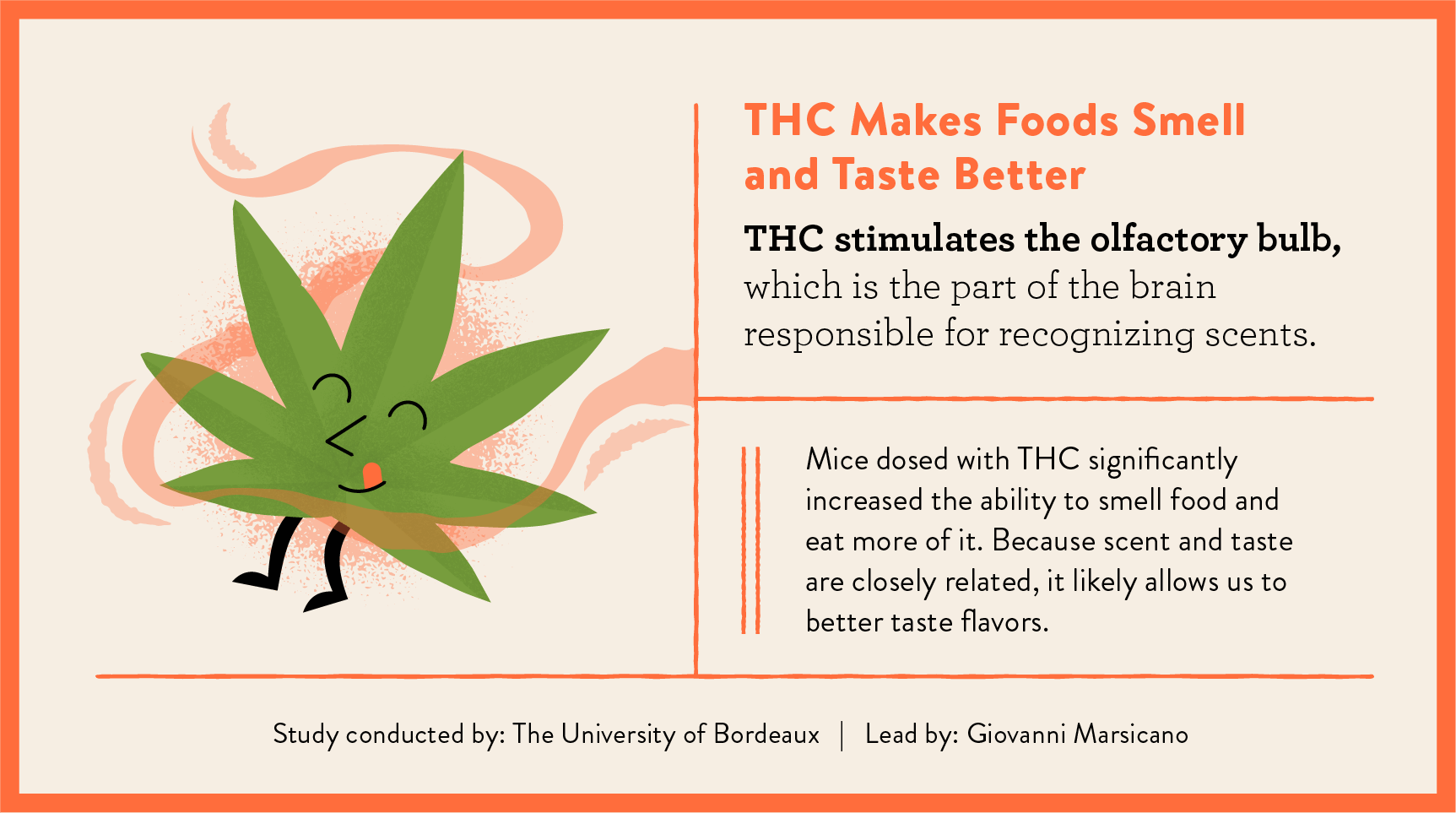 THC makes food taste better study