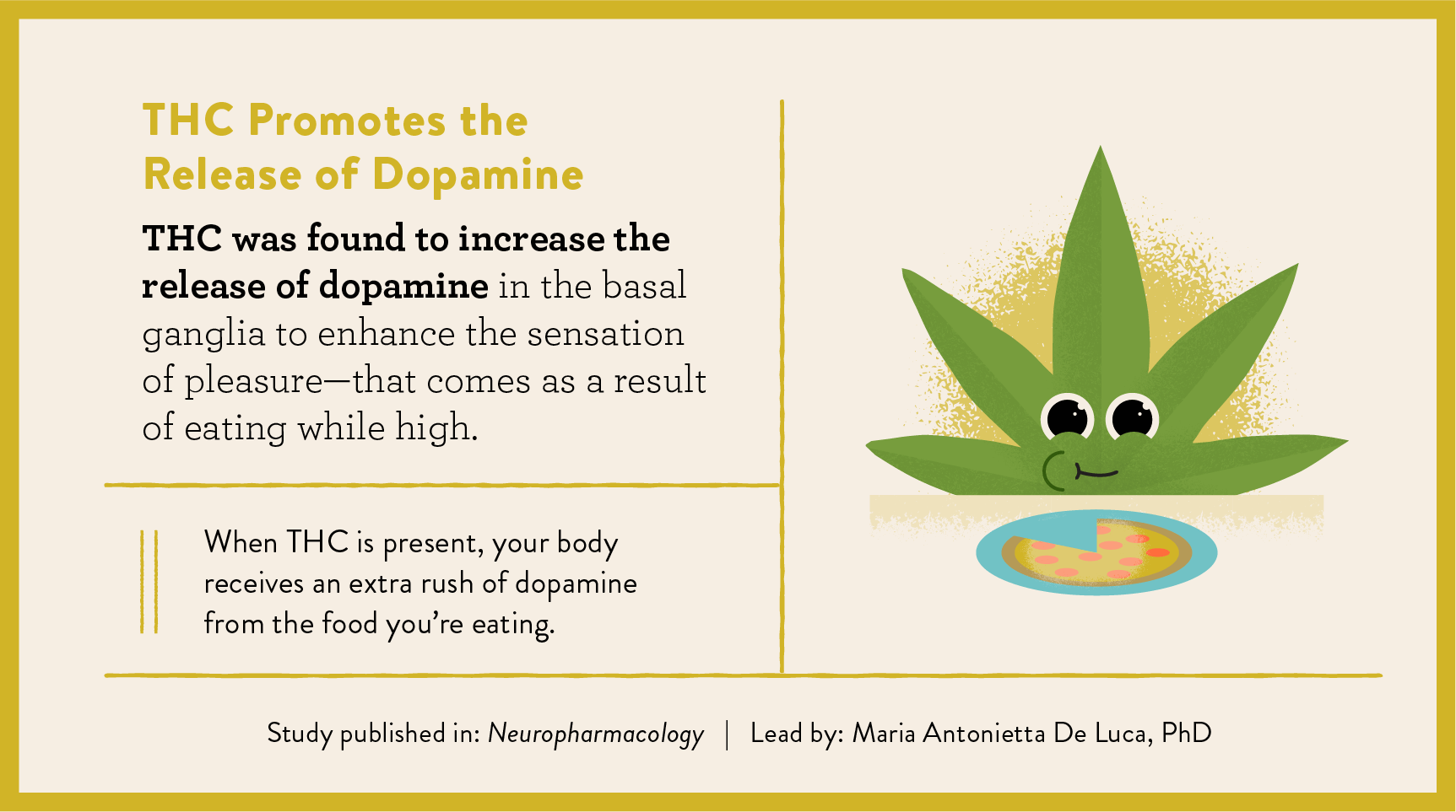 THC increases dopamine study