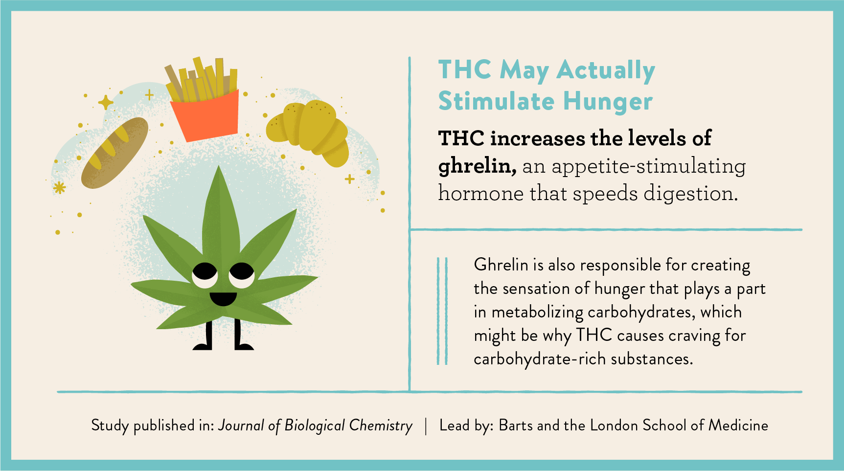 THC stimulates hunger study