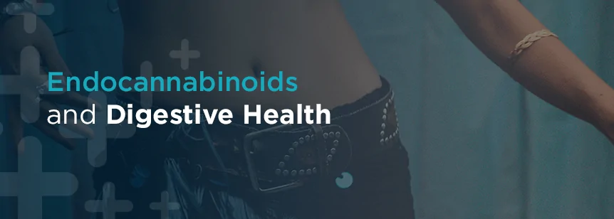 Endocannabinoids and Digestive Health