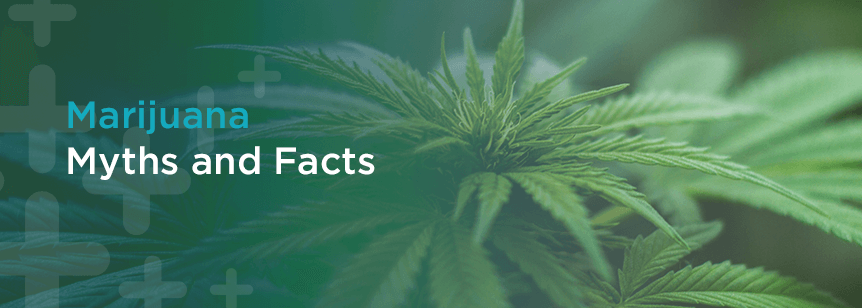 Marijuana Myths and Facts