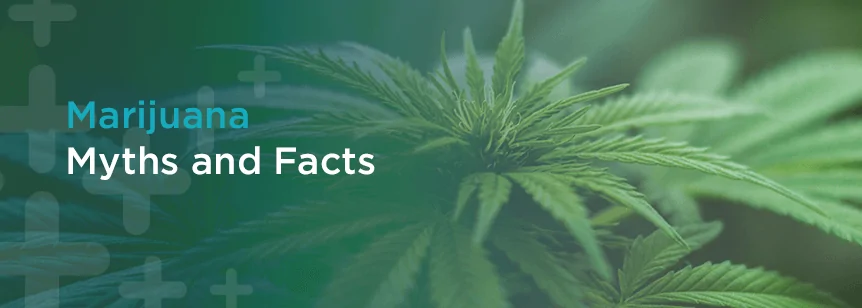 Marijuana Myths and Facts