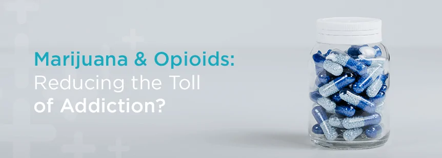 Marijuana & Opioids: Reducing the Toll of Addiction?