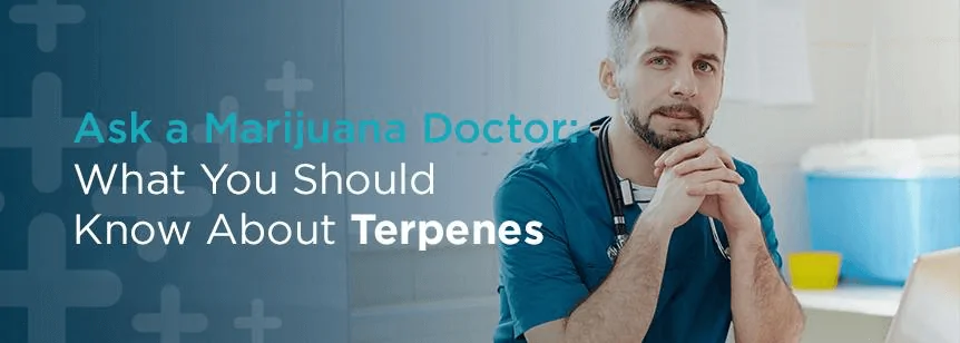 Ask a Doctor: What You Should Know About Terpenes