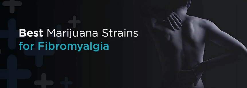 Best Medical Marijuana Strains for Fibromyalgia