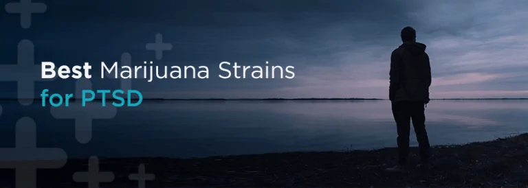 Best Marijuana Strains for PTSD