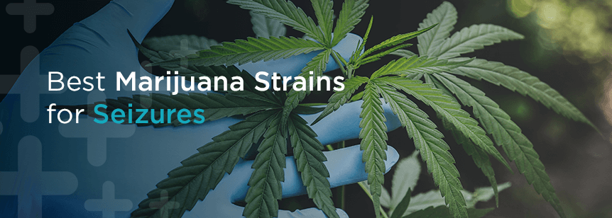 Best Marijuana Strains for Seizures 