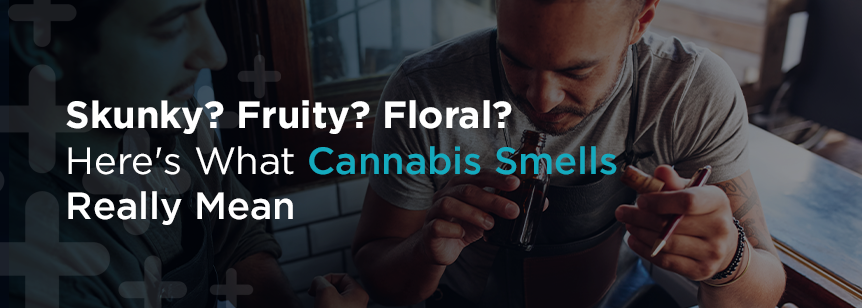 Cannabis dispensary scents