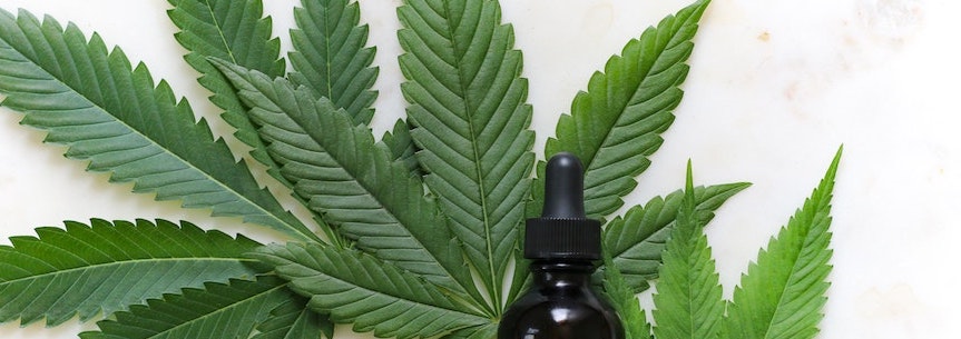 Cannabinoid marijuana leaf image