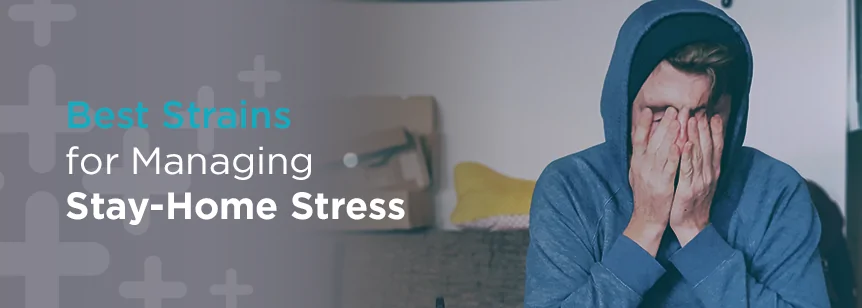 Cannabis Strains to Manage Stay-Home Stress