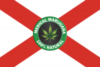 Qualifying for Medical Marijuana in Florida