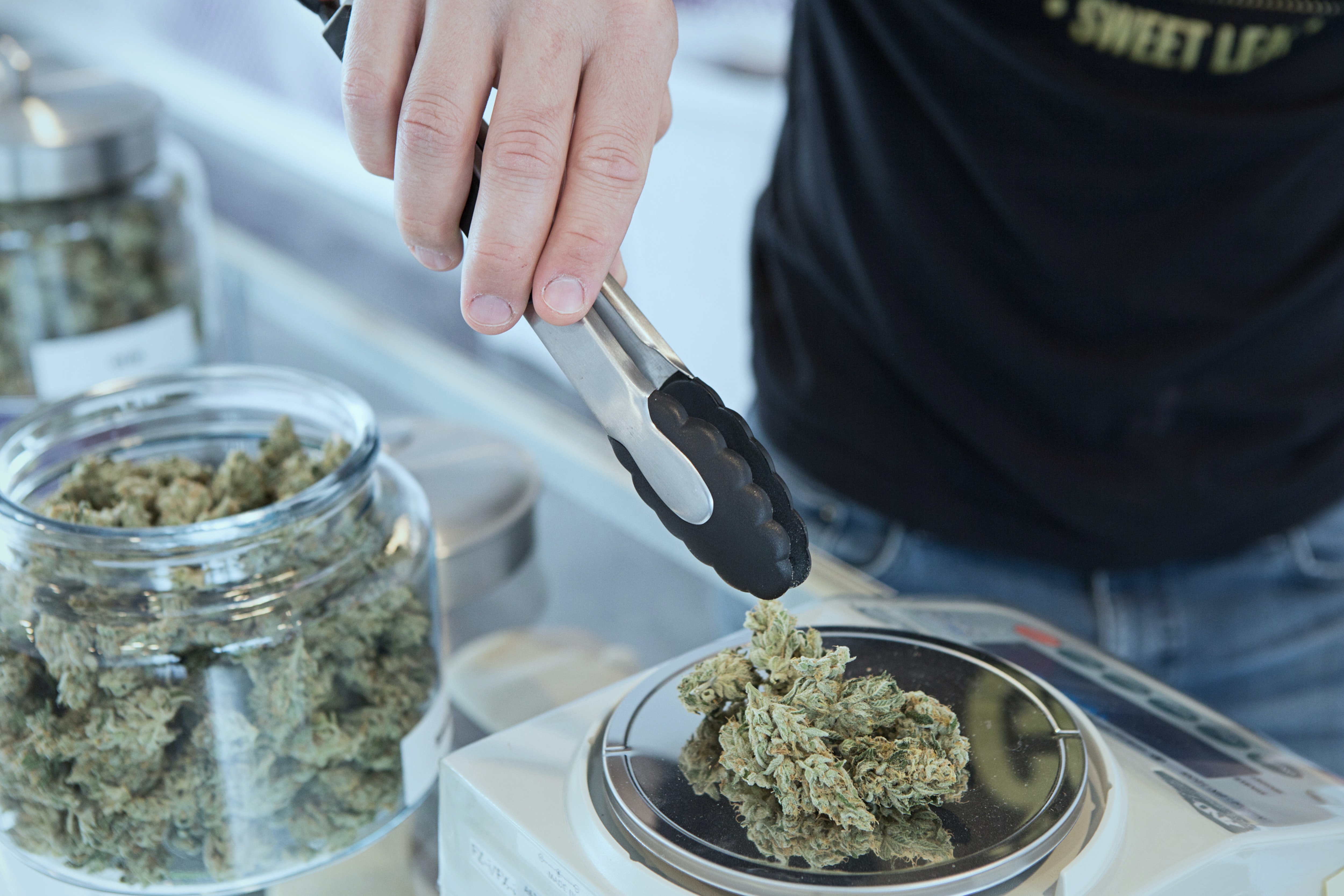 Florida Marijuana Dispensaries Report Record Sales During COVID-19