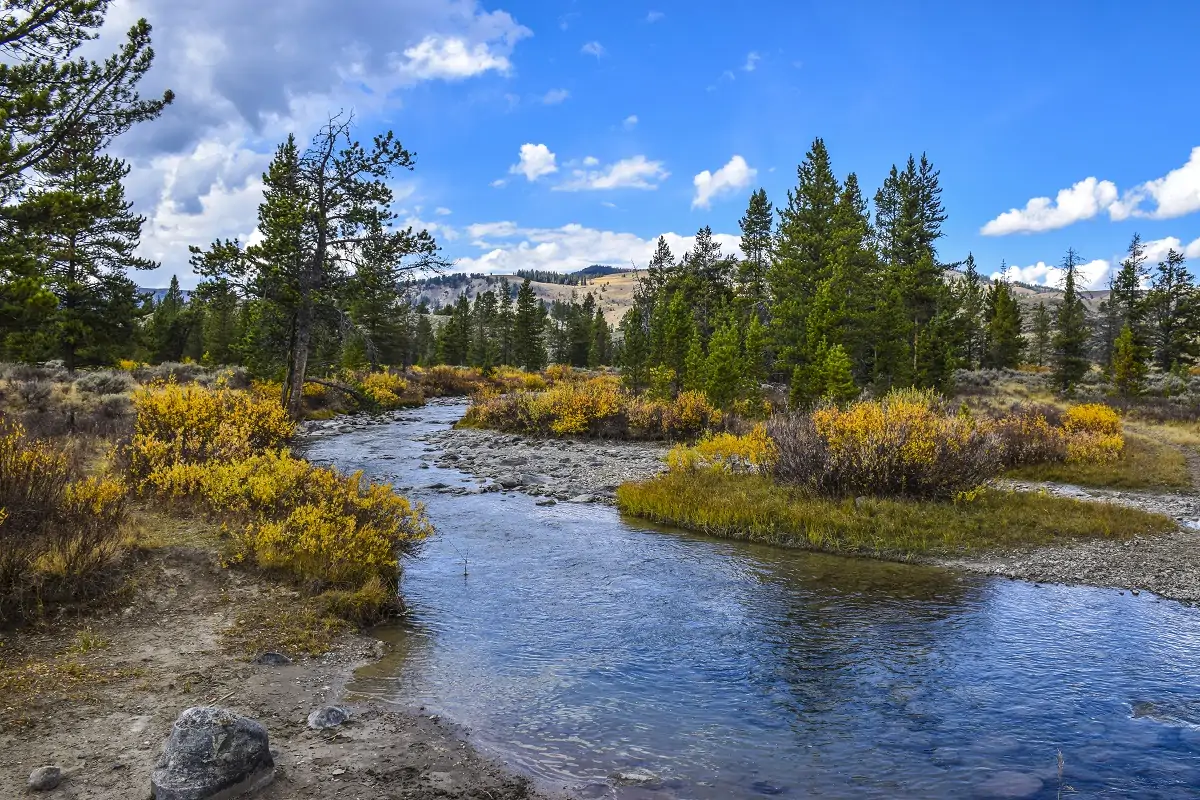 Montana Lifts Marijuana Restrictions for Patients and Providers