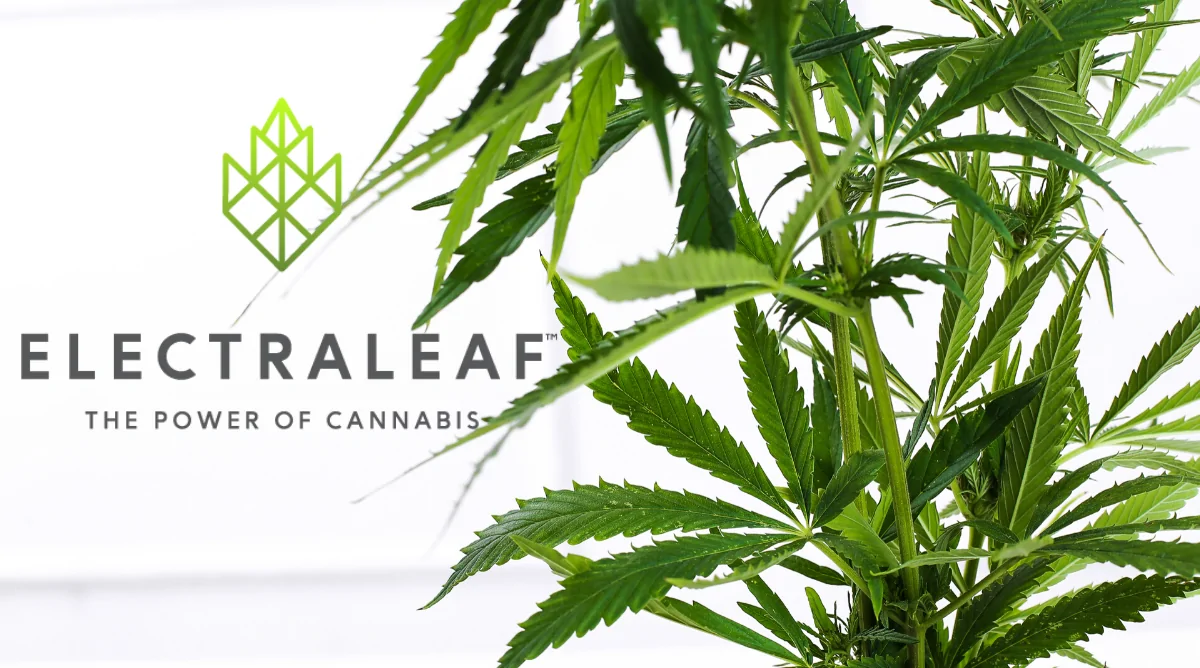 ElectraLeaf: Award-Winning Oklahoma City Medical Cannabis Dispensary