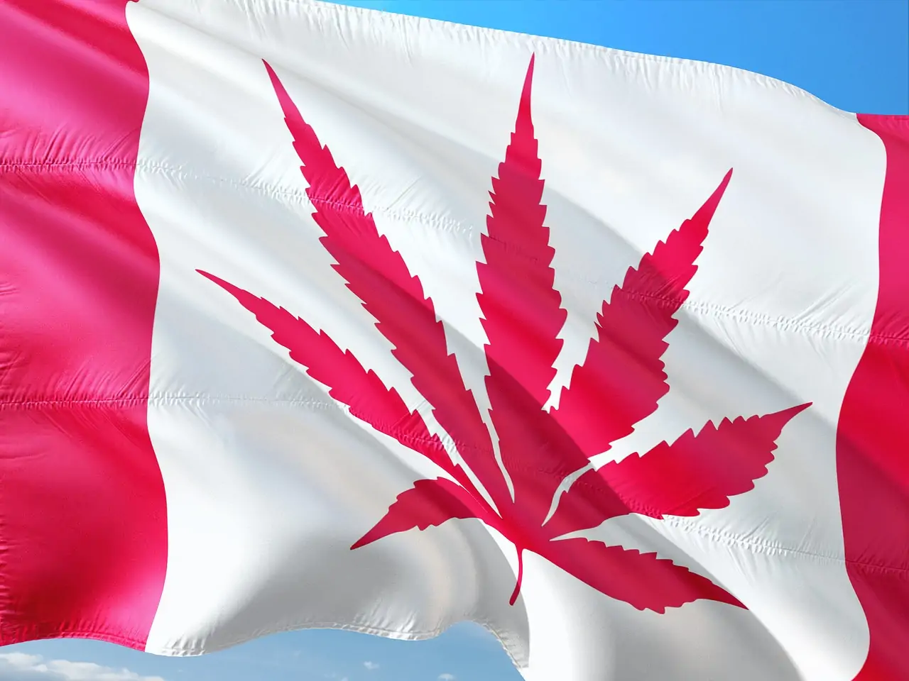 Canada’s Problem: Too Much Dry Cannabis Flower