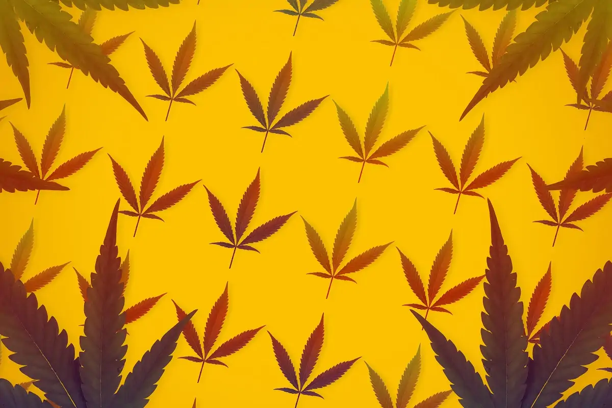 420