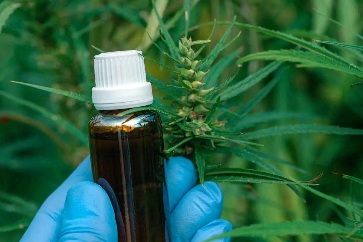 Contractor to Provide Data on CBD To FDA