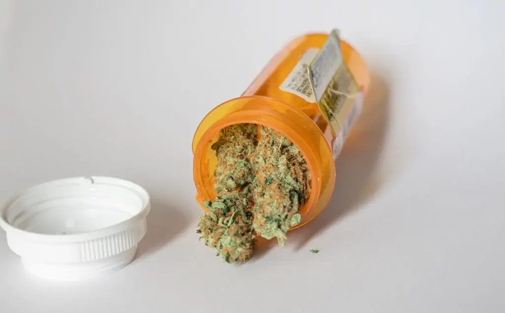 Medical marijuana parole violations