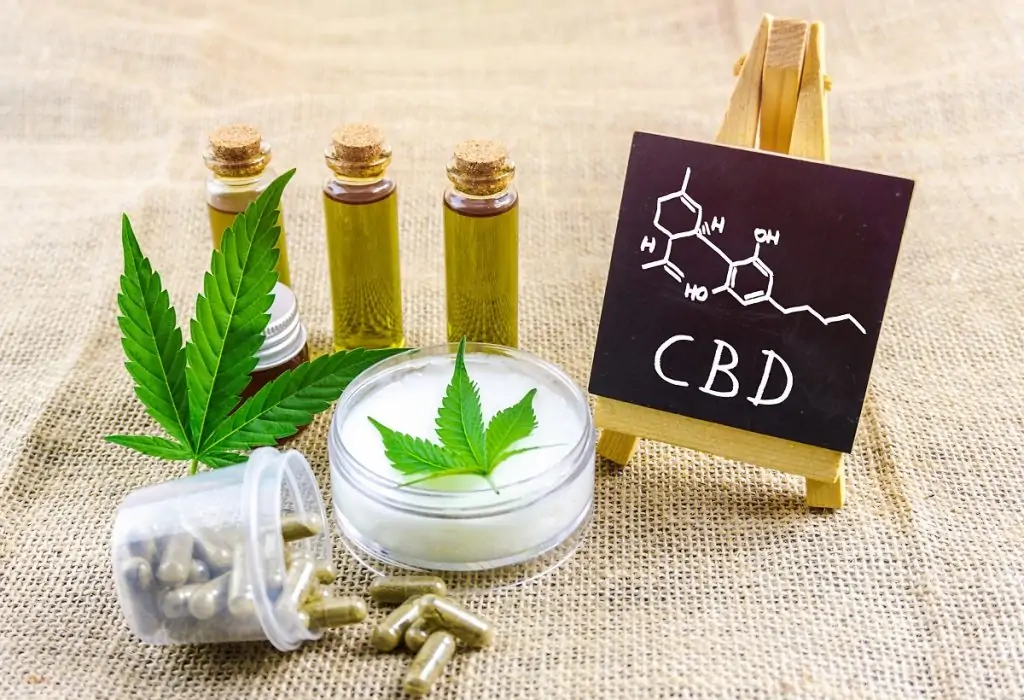 pets and CBD, cbd oil, marijuana doctors