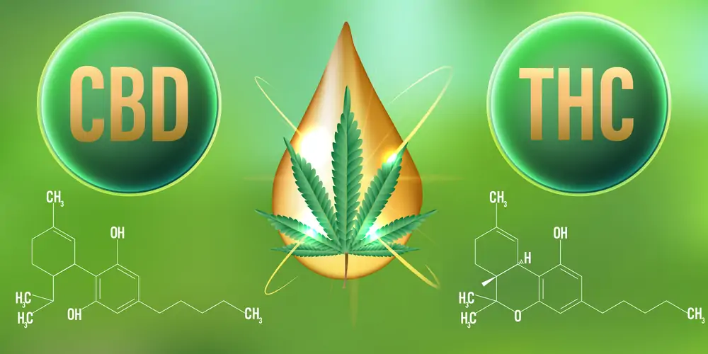 Why Is Nano CBDA a Wellness Upgrade to Standard CBD?