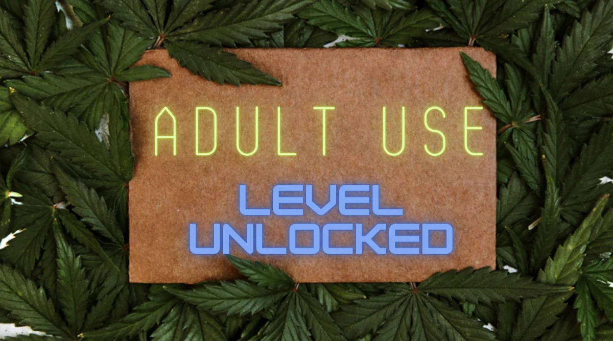New Jersey Personal Use Adult Use Marijuana