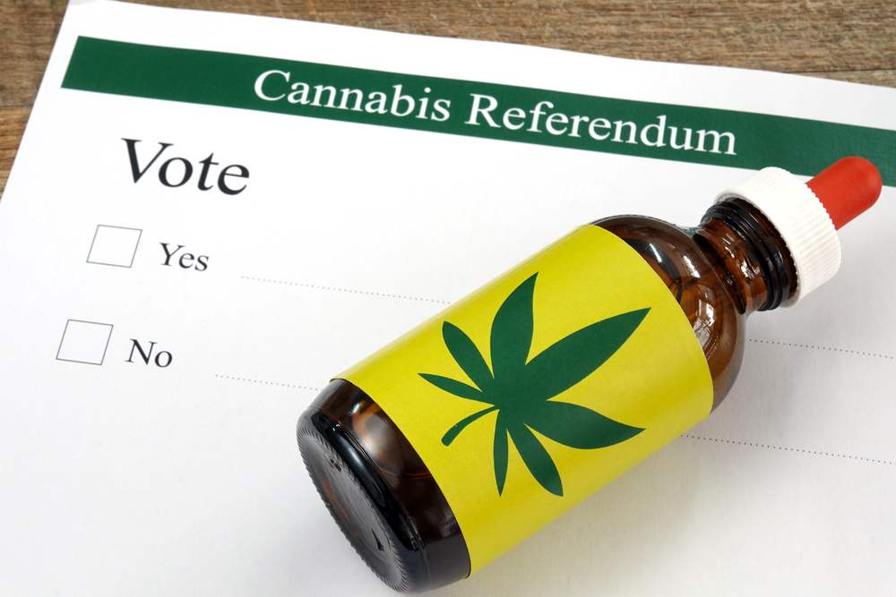 South Dakota Marijuana Vote