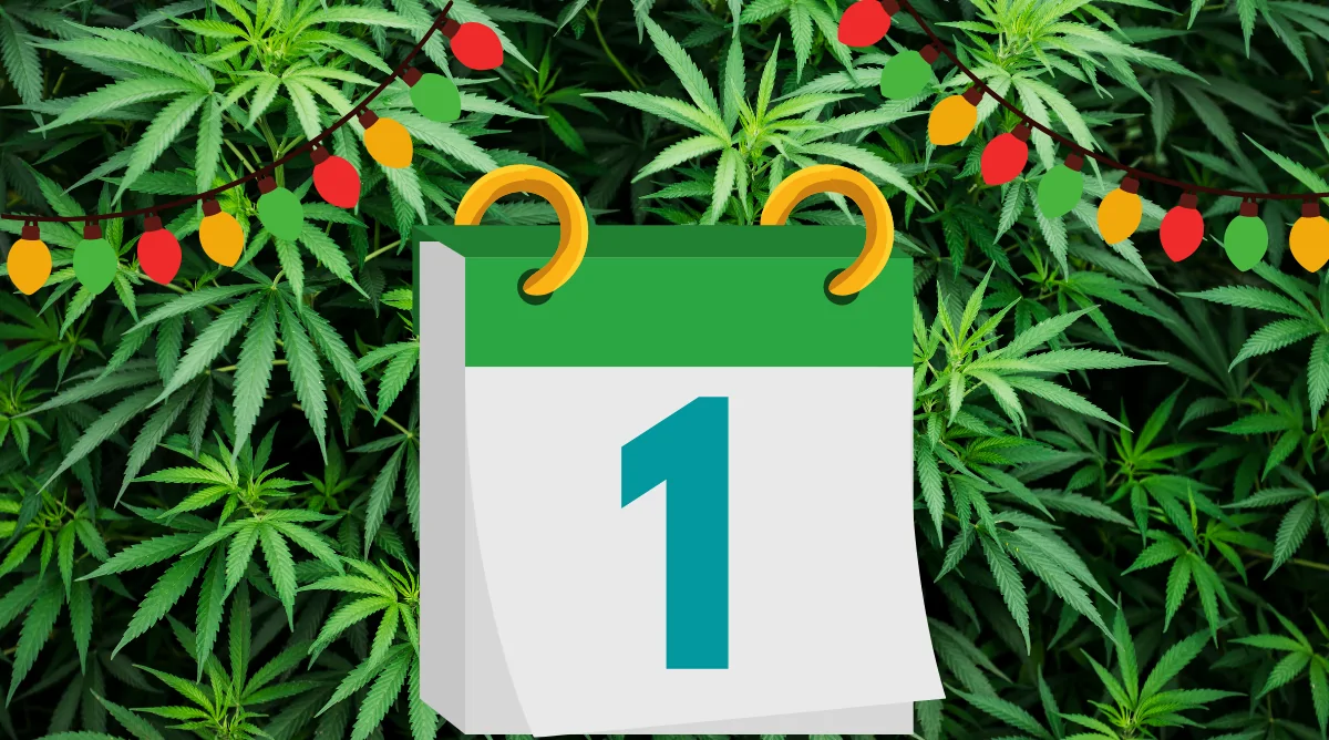 12 Days of Kushmas 1