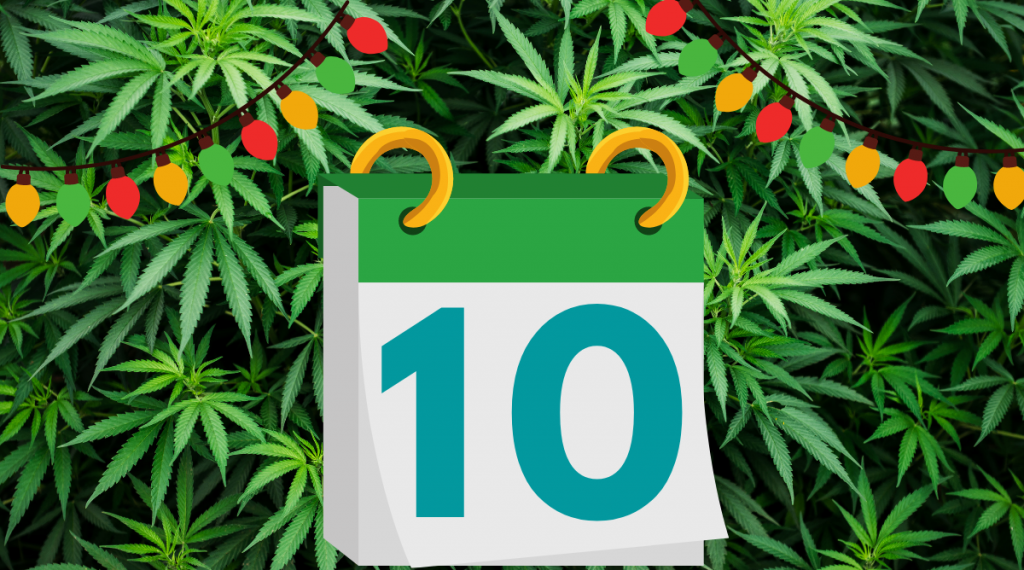 12 Days of Kushmas 10