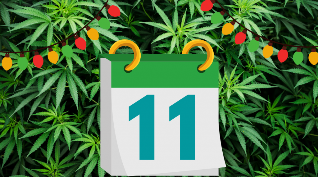 12 Days of Kushmas 11