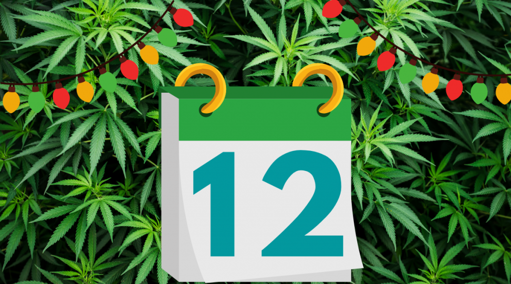 12 Days of Kushmas 12