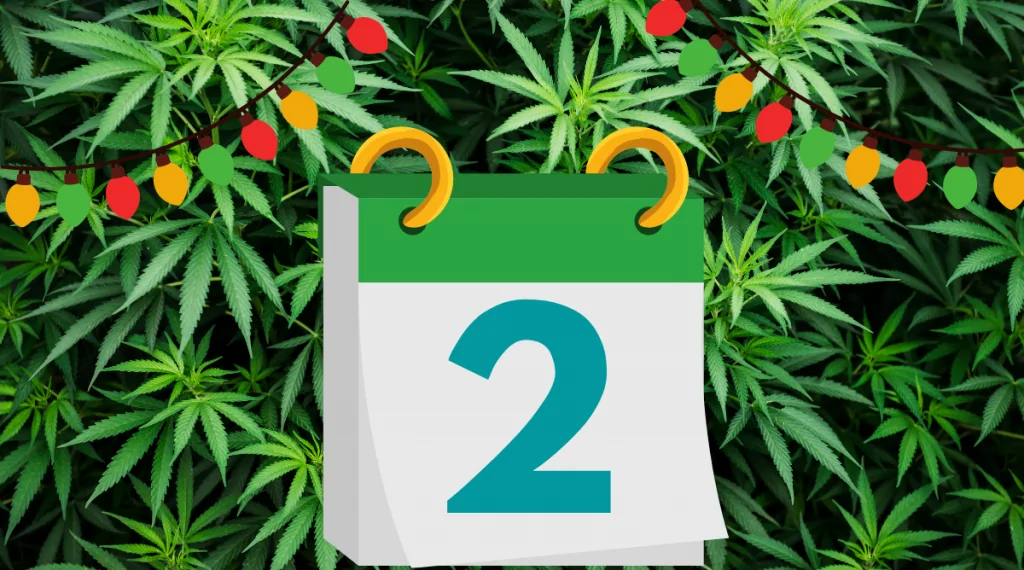 12 Days of Kushmas 2