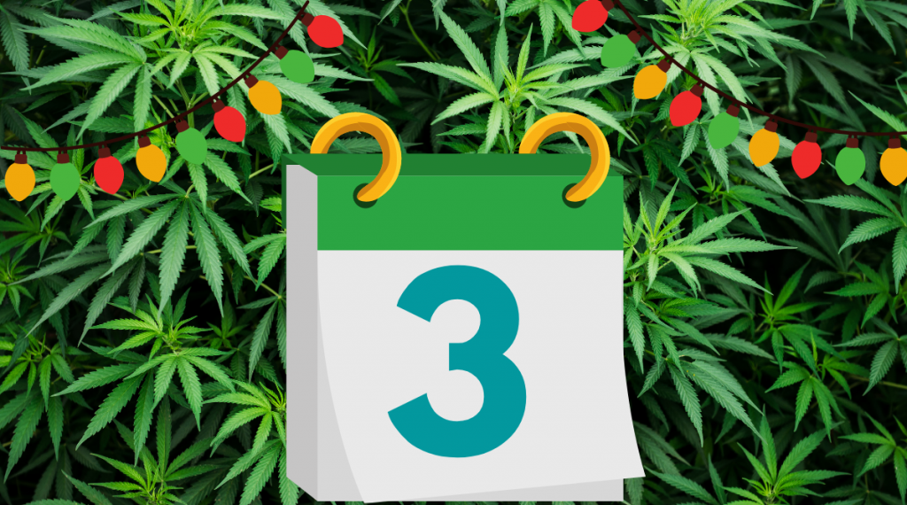 12 Days of Kushmas 3