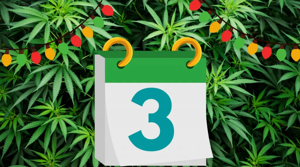 12 Days of Kushmas 3