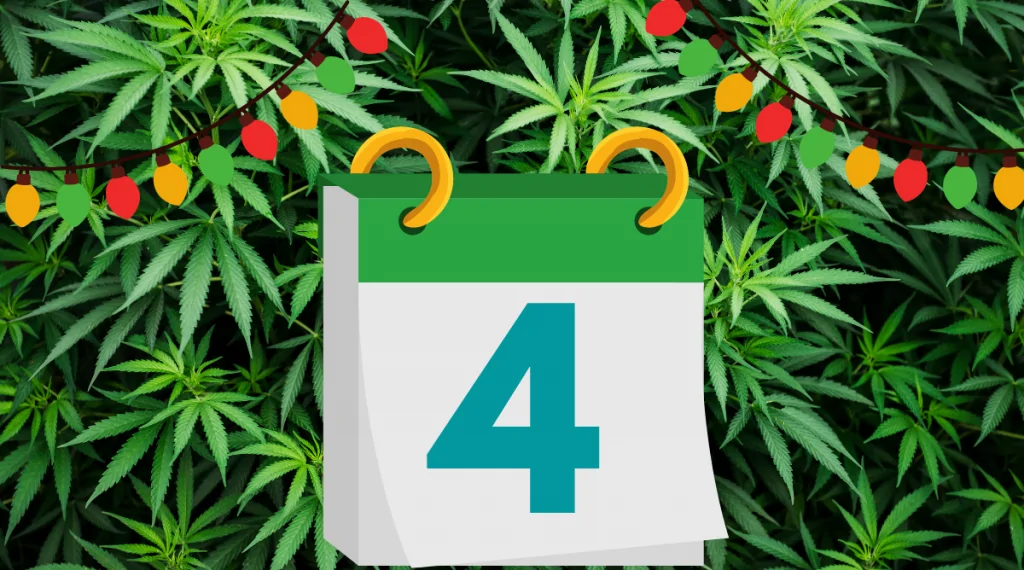 12 Days of Kushmas 4