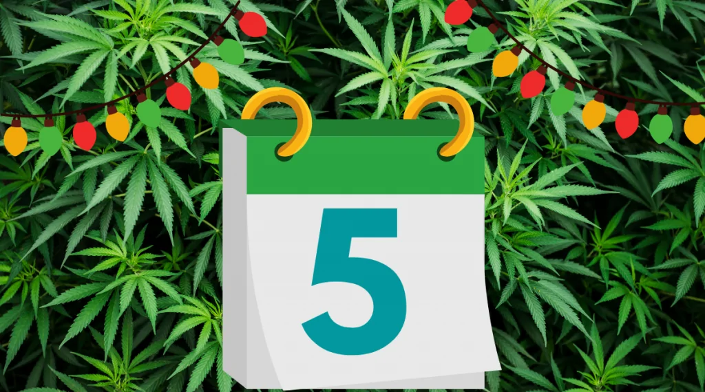 12 Days of Kushmas 5