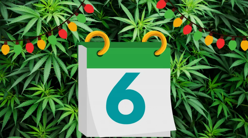 12 Days of Kushmas 6