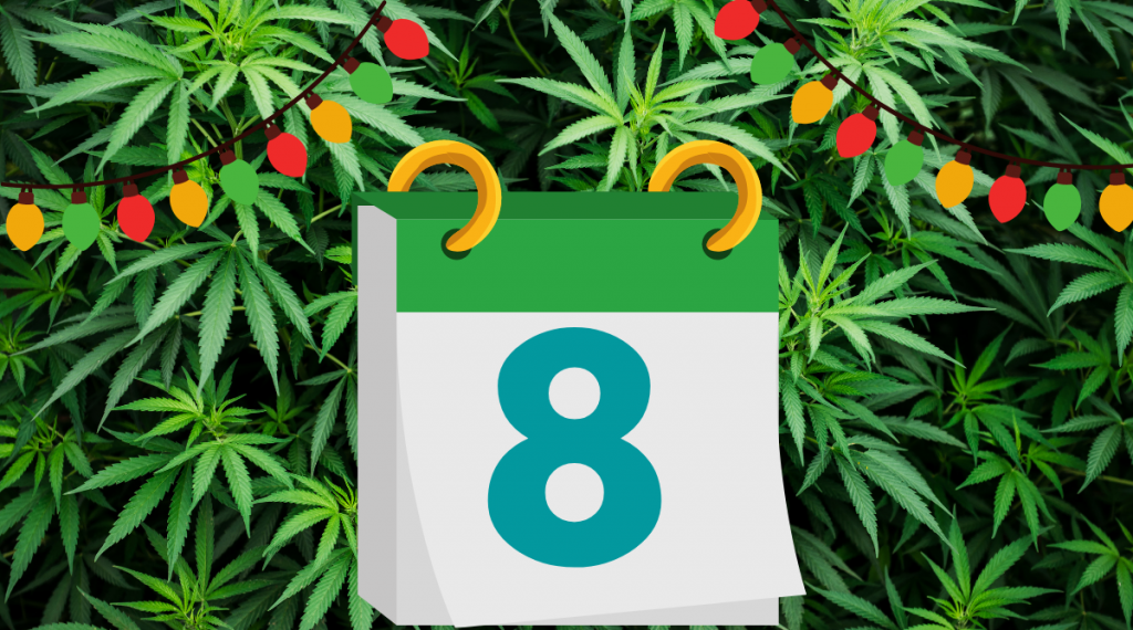 12 Days of Kushmas 8