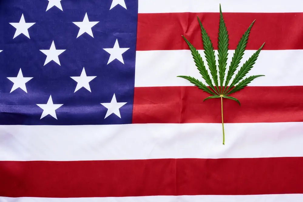 American Federal Cannabis Legalization