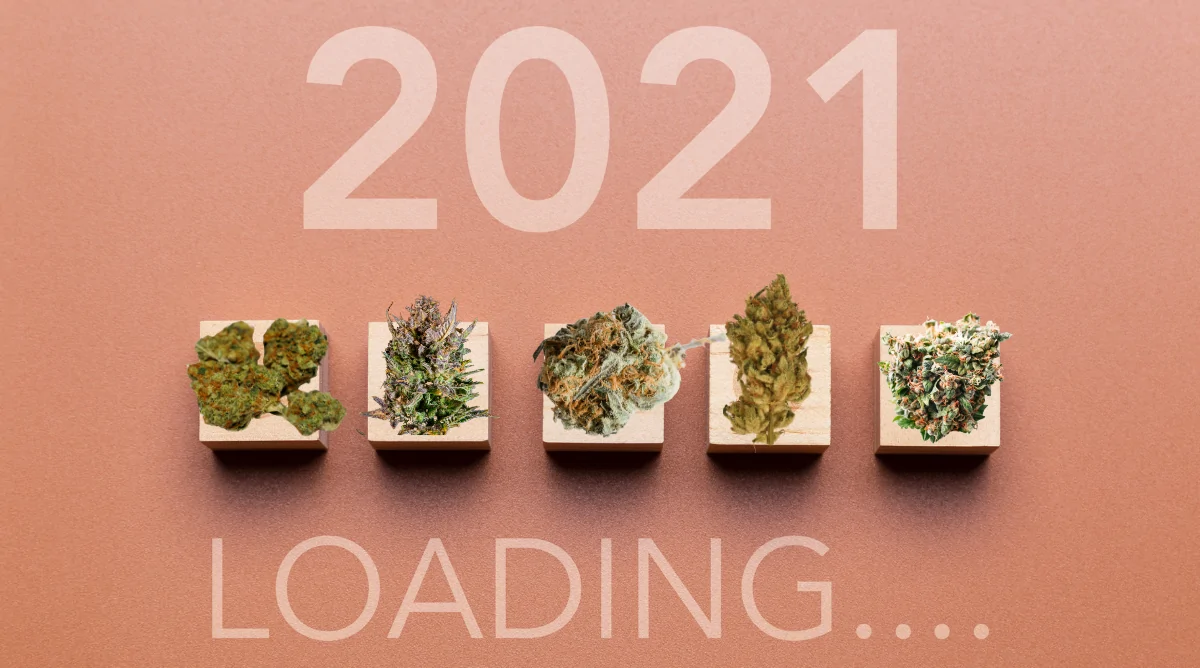 Will 2021 Be the Year Cannabis Goes Mainstream?