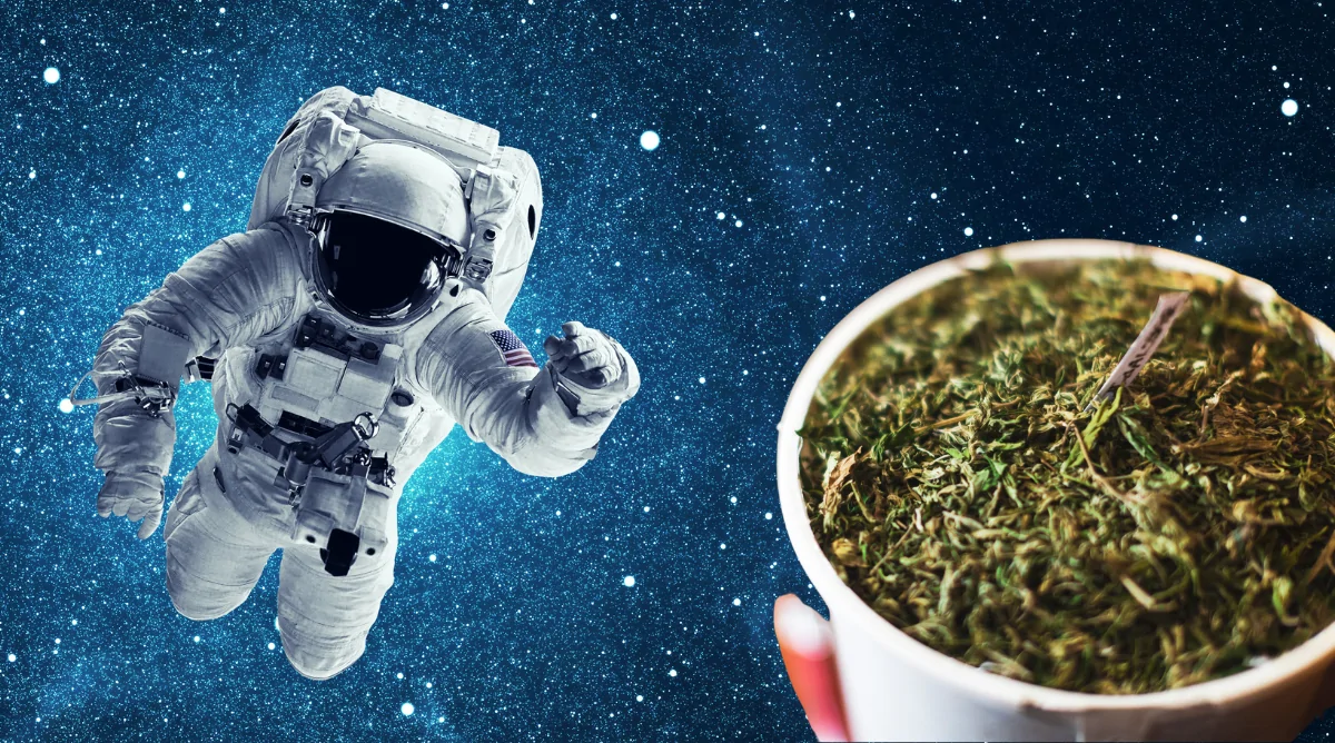 How to build space buckets cannabis home grow