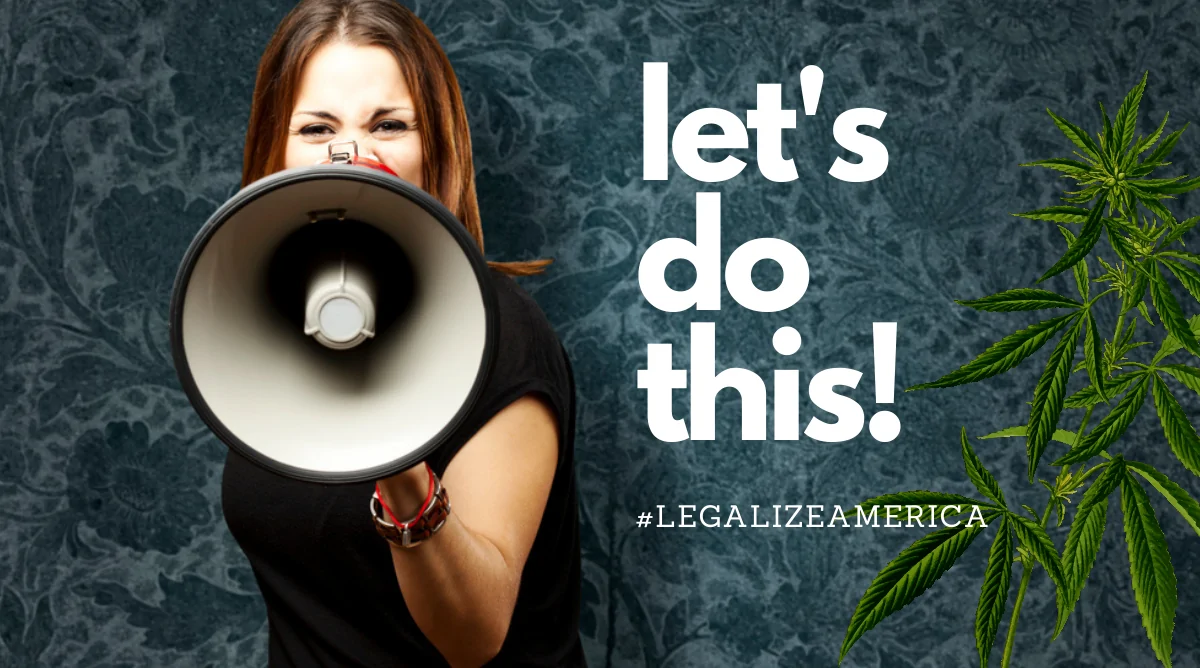 Legalize Cannabis MORE Act