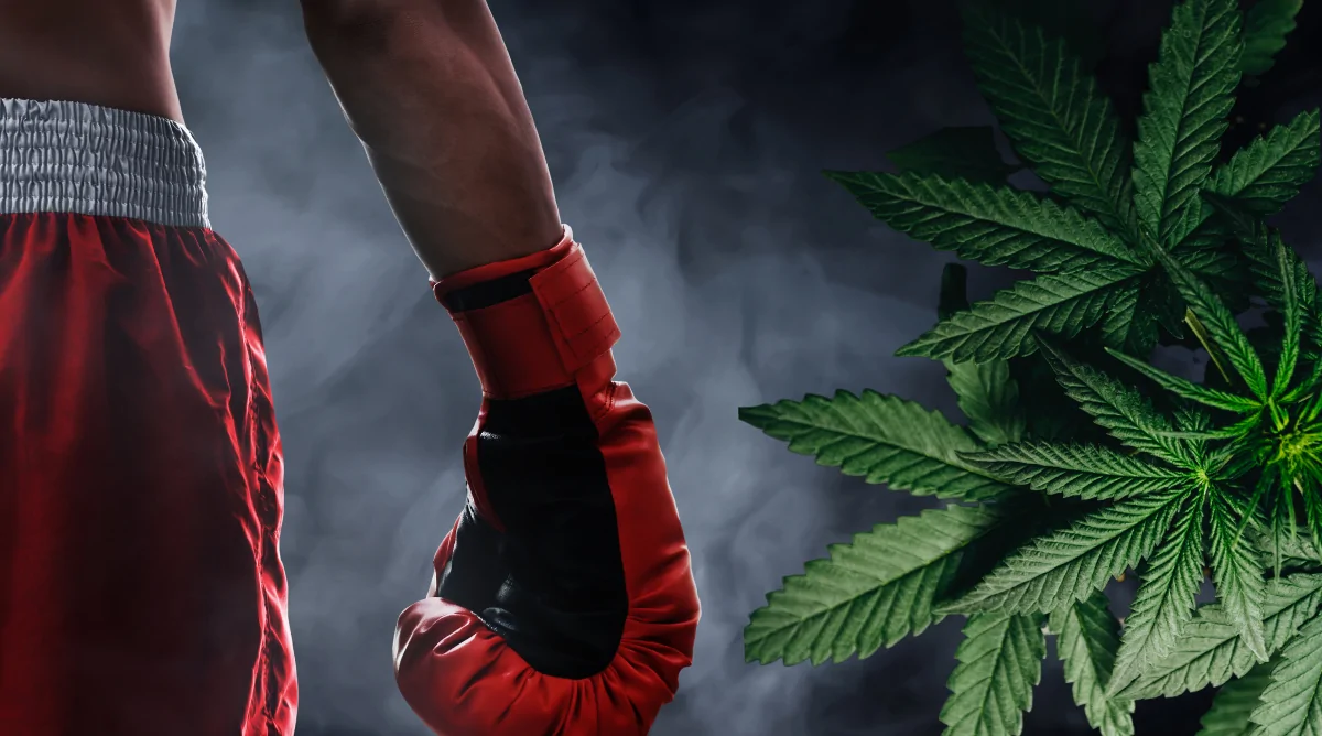 Mike Tyson Sets Up a ‘Knock Out’ Cannabis Resort and Brand